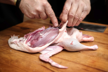 male hands prepare a raw duck to get the breast fillet for cooking on a rustic wooden butcher block, selected focus, narrow depth of fieldの写真素材