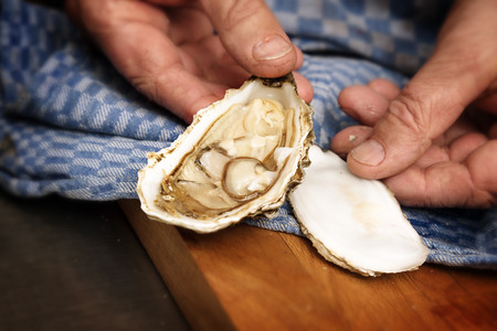 men's hands showing  an open fresh oyster on a blue kitchen towel on a rustic wooden table, close up,  selected focus, narrow depth of fieldの写真素材