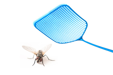 Blue flyswatter attacking  a fly isolated on a white background, copy space, selected focus, narrow depth of fieldの写真素材