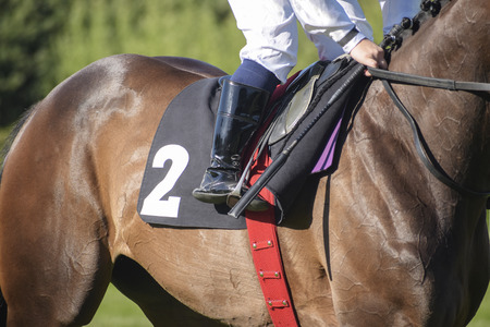 jockey in the saddle at a horse race with the starting number two, selected focusの写真素材