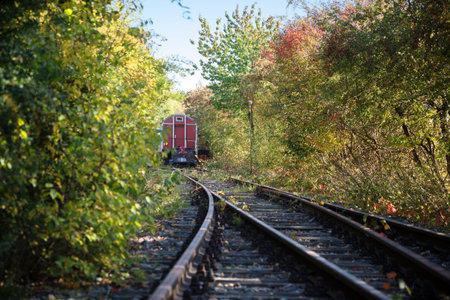 old railway wagon parked on the tracks in the bushes