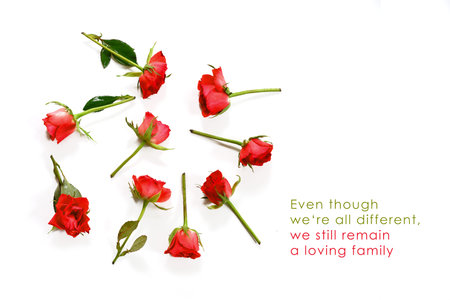 Red roses in a circle on a white  with copy space and sample text Even though weâ€˜re all...