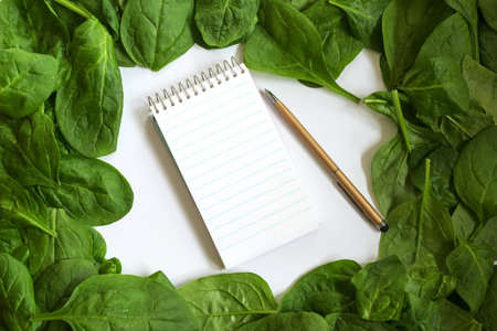 fresh spinach leaf frame and writing pad for recipe or shopping list with copy space, background...
