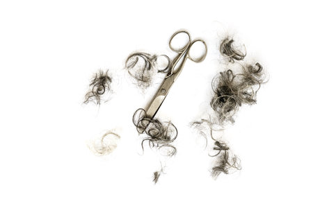 Hair cut, old scissors from metal, and tufts of black and grey hair curls isolated with shadows on a white background, high angle view from above, selected focusのeditorial素材