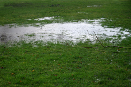 Waterlogged lawn with standing water in a large puddle and fallen branches after a heavy rain, copy space, selected focusのeditorial素材