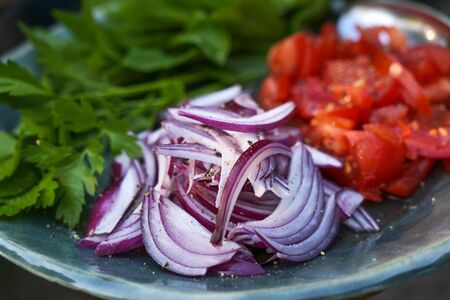 Raw ingredients for a fresh salad or wrap stuffing with red onions, tomatoes and herbs, close-up shot, selected focus and very narrow depth of fieldの写真素材