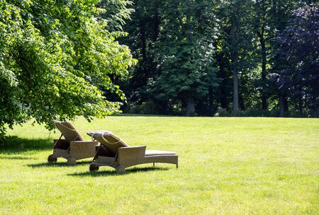 Comfortable sun lounge chairs to relax under an old tree on the lawn in a park on a sunny summer day, copy space, selected focusの写真素材