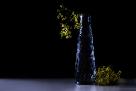 Yellow flowers from lady's mantle (Alchemilla) in a dark blue glass vase against a black background with copy space, selected focus, narrow depth of fieldの写真素材
