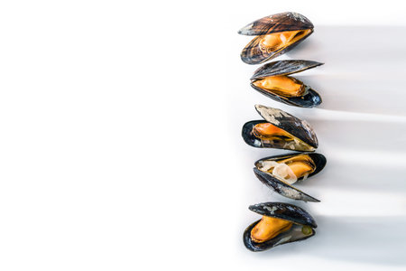 Food background with a row of cooked blue mussels with long shadows on a white surface, large copy space, selected focusの写真素材