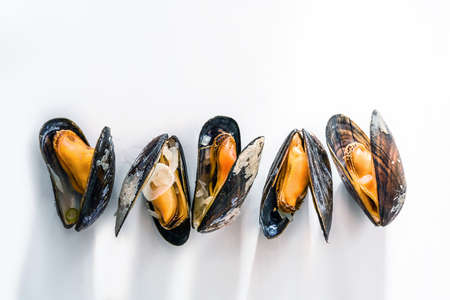 Row of cooked blue mussels with shadows on a white background, copy space, selected focusの写真素材