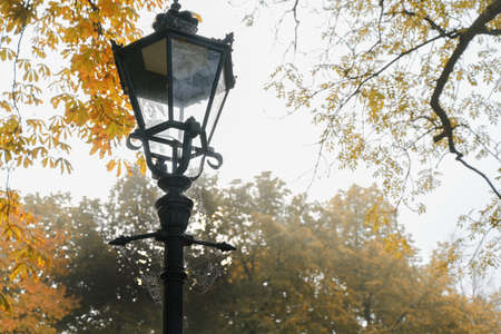 Nostalgic lamp in the park with cobwebs on a misty autumn morning, copy space, selected focus, narrow depth of fieldの写真素材