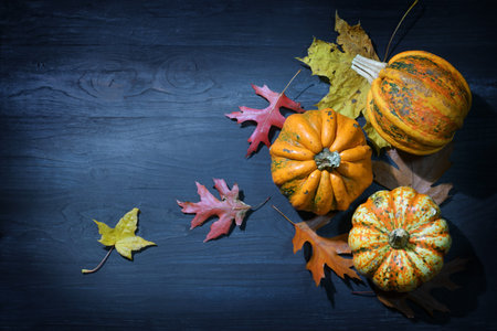 Halloween and Thanksgiving arrangement with food pumpkins or squashes and colorful autumn leaves on...