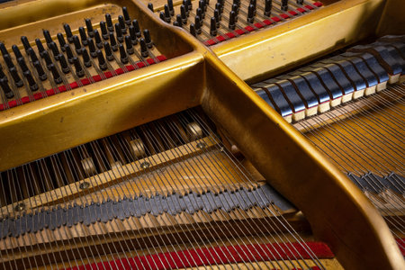 View to the mechanics inside an older grand piano, hammer from below and damper from above on the strings of the acoustic musical instrument, selected focus, narrow depth of fieldの写真素材