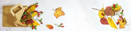 colorful autumn leaves and rose hips in a shopping paper bag on a light gray marble background, wide panoramic format, seasonal concept for sustainable sale and business, copy space, flat lay from aboveの写真素材