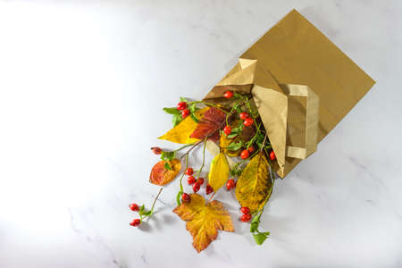 Autumn is coming, colorful leaves and rose hips in a shopping paper bag on a light gray marble background, seasonal concept for sustainable sale and leisure activity, copy space, flat lay from aboveの写真素材