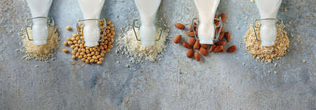 Sorts of vegan milk from rice, soy beans, coconut, almonds and oats, bottle parts and ingredients seen from above on a gray blue stone background, panoramic format, copy spaceの写真素材