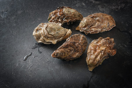 Pacific oysters fresh from the fish market on a dark gray background, copy space, selected focus,...
