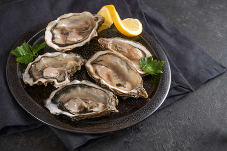 Raw oysters on a dark plate with lemon slice and parsley garnish, napkin and gray slate background, copy space, selected focus, narrow depth of fieldの写真素材
