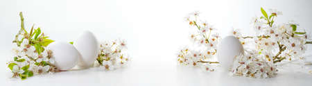 White Easter eggs and wild cherry flower branches on a bright background in wide panoramic banner format, seasonal holiday and spring arrangement, copy space, selected focus, narrow depth of fieldの写真素材