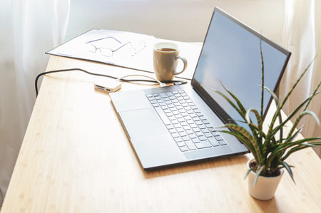 Laptop on a desk, beside it a plant, coffee and ring binder in warm light, small workspace in home...