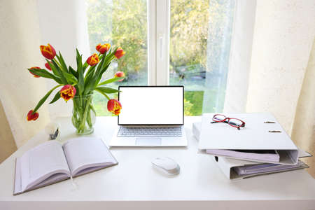 Office workplace by the window, laptop with blank white screen, ring binder, organizer and tulip bouquet on a white desk at home, mock up, copy space, selected focus, narrow depth of fieldの写真素材