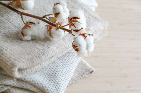 Branch with fluffy cotton balls on a pile of natural colored fabrics, fashion concept, eco friendly grown, sustainable processed and fair trade, copy space, selected focus, narrow depth of fieldの写真素材