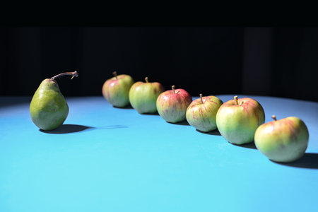Pear standing in front of a row of apples, metaphor for team leadership, education or military, organic fruits on blue ground and black background, copy space, selected focus, narrow depth of fieldの写真素材