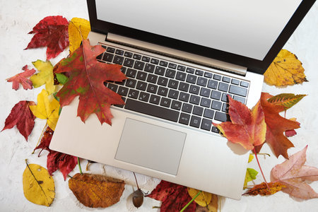 Silver laptop between colorful autumn leaves in red, orange and gold, concept for fall business or back to school, view from above, copy space, selected focusの写真素材