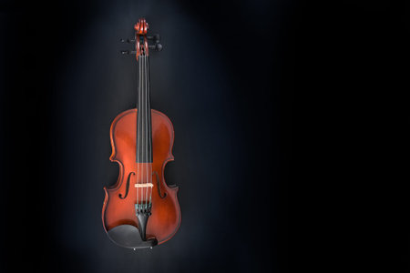 Violin made of reddish wood, bowed string instrument used for classical music, jazz, folk, country,...