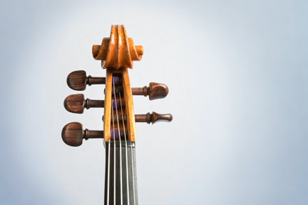 Scroll in the shape of a volute and pegbox of a five-stringed viola, part of the rare musical instrument, front view, light blue gray background with copy space, selected focusの写真素材