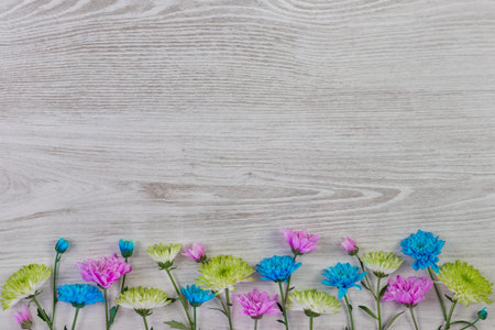Fresh spring flowers on white wooden plank. Flat lay, top view with space for your text.