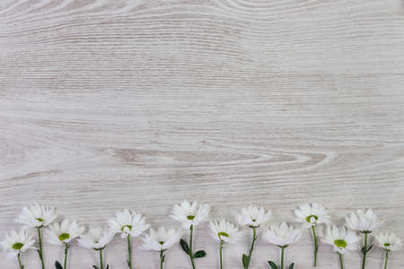 Fresh spring flowers on white wooden plank. Flat lay, top view with space for your text.の写真素材