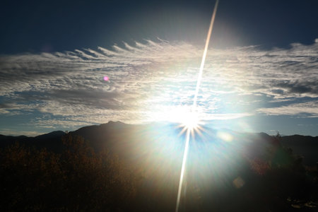alishan mountain in taiwan