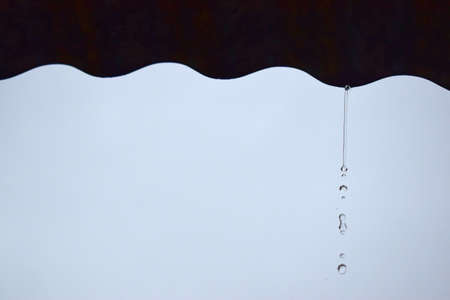 Rain dropの写真素材