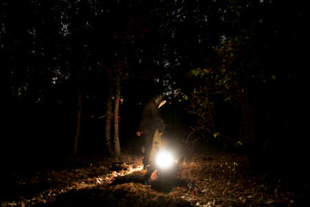 mistery light in the forestの写真素材