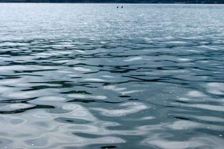 view of a river bank in natureの写真素材