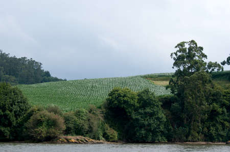 view of a river bank in natureの写真素材