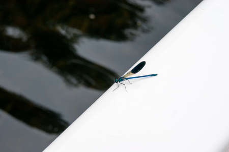 nice view of river background in natureの写真素材