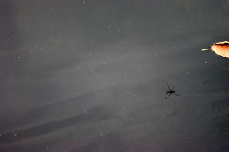 nice view of river background in natureの写真素材