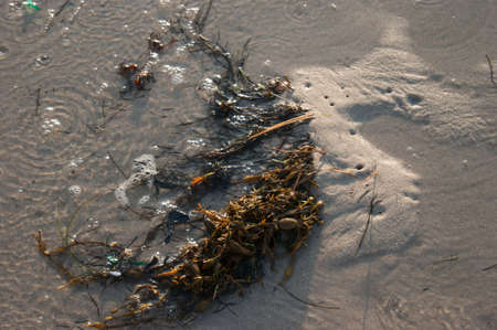 beach in noth coast of Galiciaの写真素材