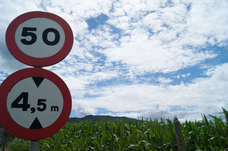 Green rural landscape in Galiciaの写真素材