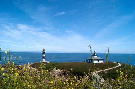 flowers at lighthouse in Ribadeoの写真素材