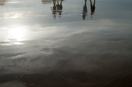 Water reflection at sand beachの写真素材