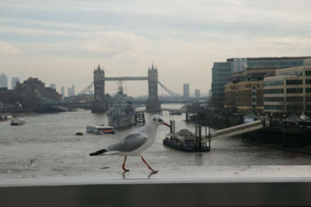 View from the river bridgeの写真素材