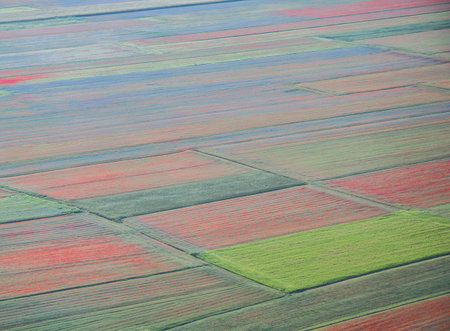 Beautiful countryside scene, abstract bloom. Umbria, central Italy.の写真素材