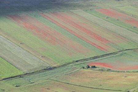 Beautiful countryside scene, abstract bloom. Umbria, central Italy.の写真素材