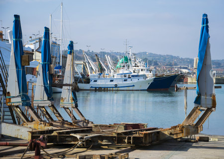Commercial fishing boats in harbor, Italy