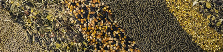 Different types of animal feed for background.