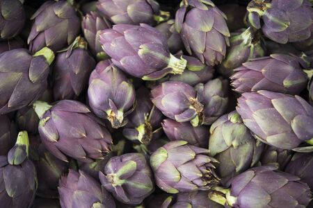 Food background. Green and purple Italian Artichokes at the farmers market.の写真素材