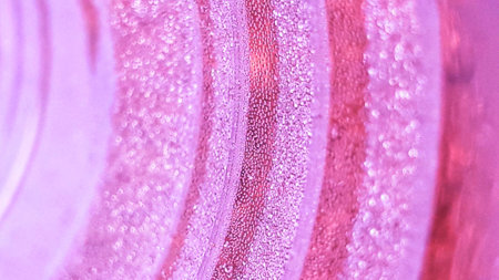 Beauty pink abstract background texture photo of inside plactic botleの写真素材